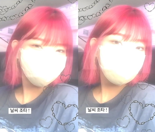 최준희 인스타
