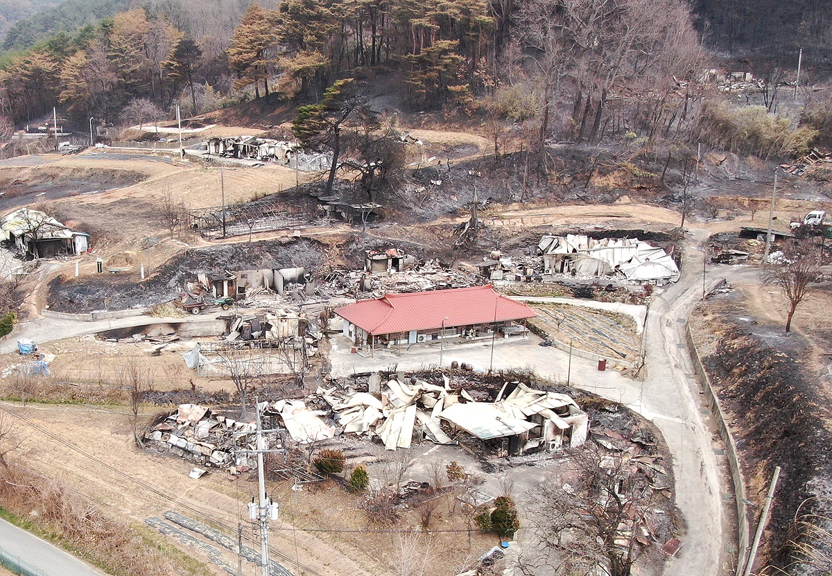 울진군 죽변면 화성2리 산불피해 모습(울진군 제공)
