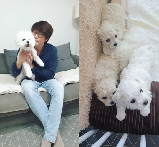 성시경 인스타