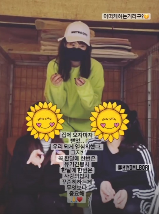 강예원 인스타그램 스토리