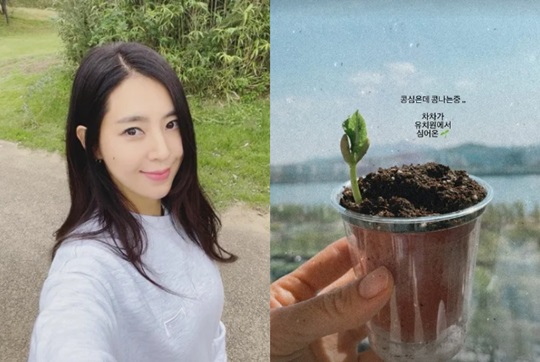 한채아 인스타 스토리