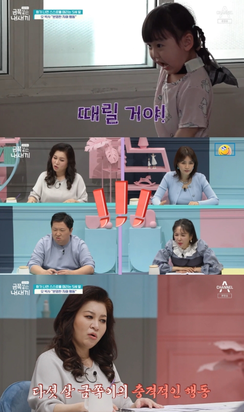 채널A ‘금쪽같은 내 새끼’ 방송화면 캡쳐