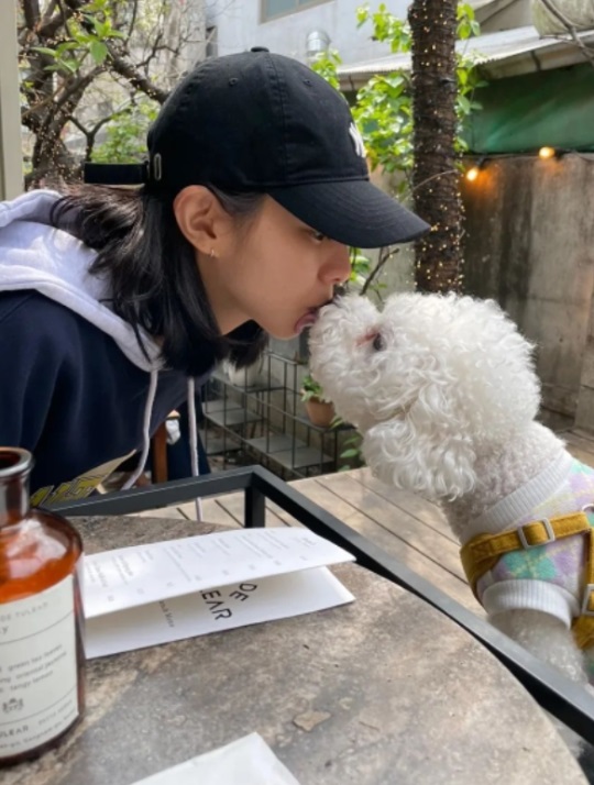 유이 인스타