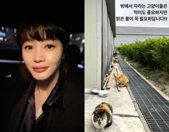 김혜수 인스타 스토리