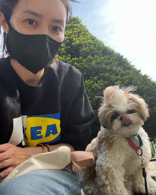채정안 인스타그램