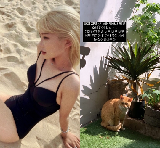 최준희 인스타