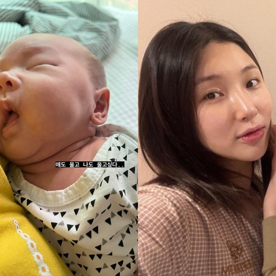 자이언트핑크 인스타그램 스토리