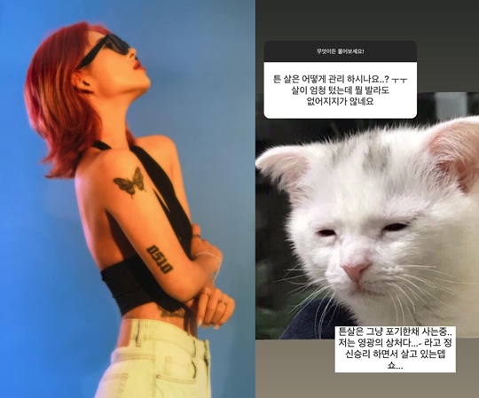 최준희 인스타그램