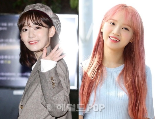 사쿠라,김채원/사진=본사DB