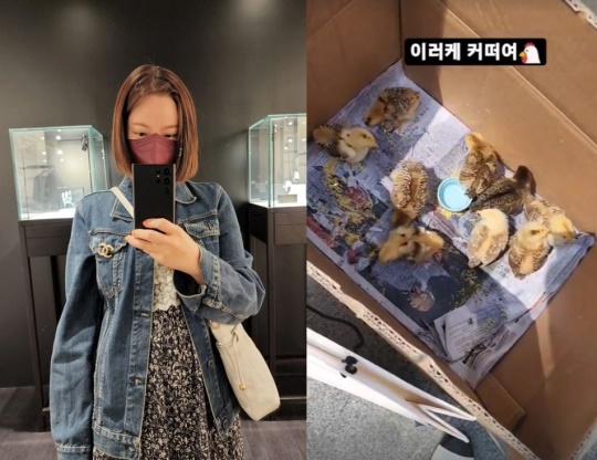 황정음 인스타그램