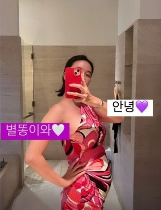 장미인애 인스타 스토리