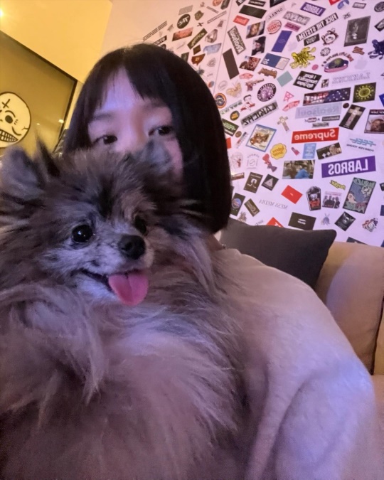 이유비 인스타