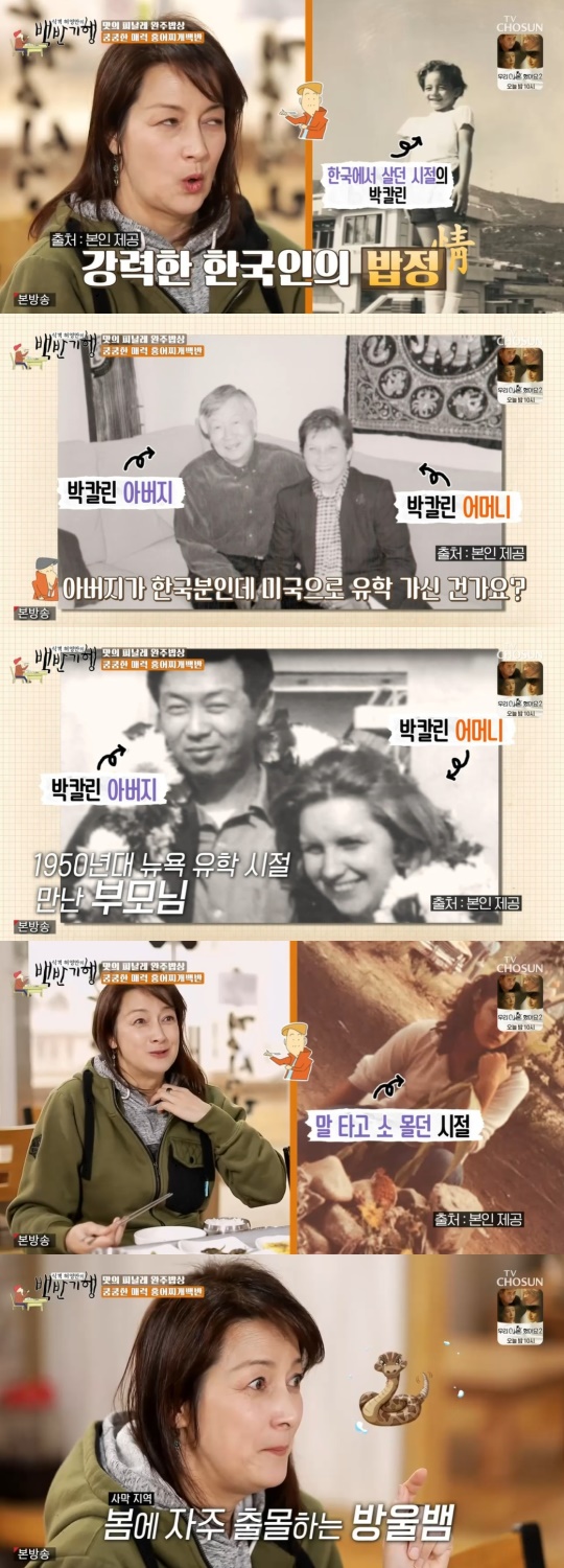 TV조선 '식객 허영만의 백반기행' 캡처