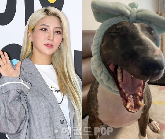 자이언트핑크/사진=민선유기자, 자이언트핑크 인스타그램
