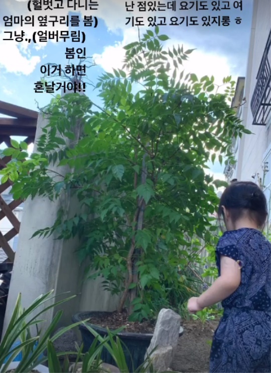 신지수 인스타그램