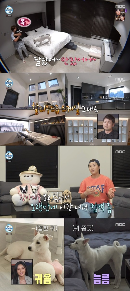 MBC '나혼산' 방송캡쳐