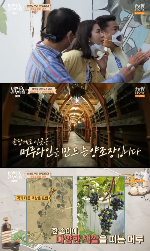 tvN STORY ‘이번주도 잘부탁해’ 방송화면 캡쳐