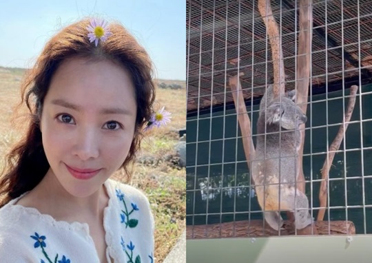 한지민 인스타 스토리