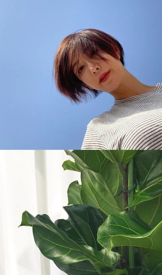 슈 인스타그램