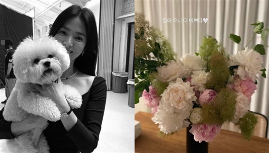 송혜교 인스타그램