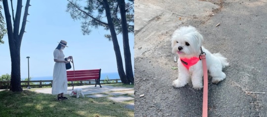 손예진 인스타그램