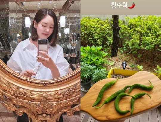 성유리 인스타그램