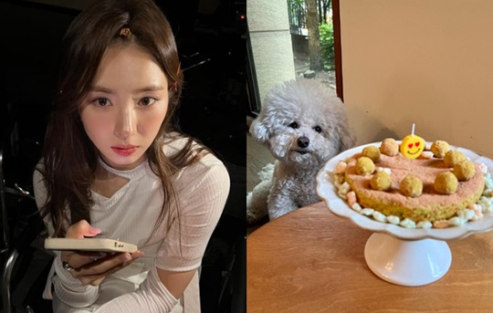 신세경 인스타