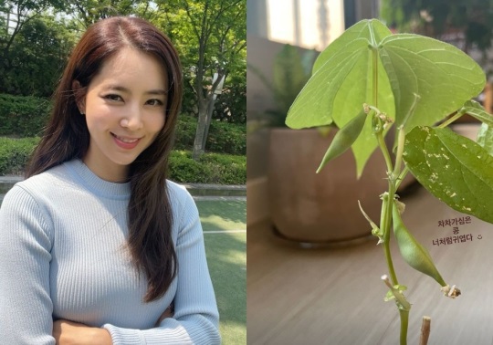 한채아 인스타그램