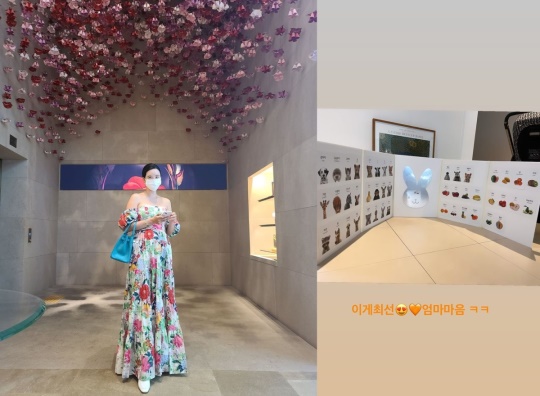 장미인애 인스타그램