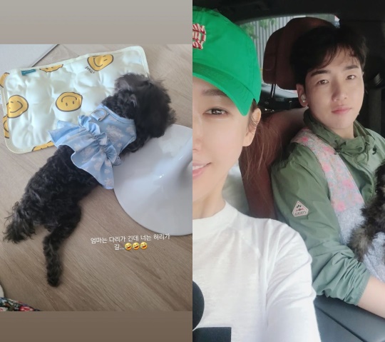 한영 인스타 스토리