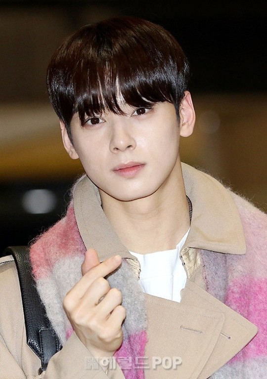 차은우/사진=헤럴드POP DB