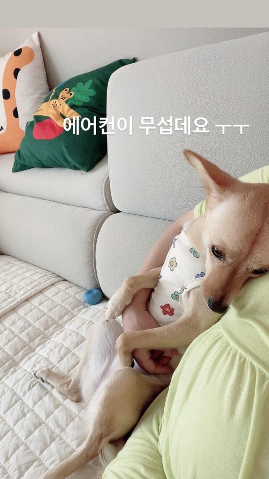 김영희 인스타 스토리