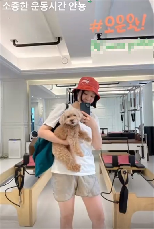 신다은 인스타 스토리