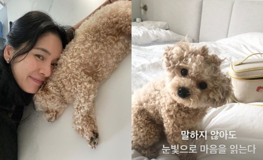 정혜영 인스타 스토리
