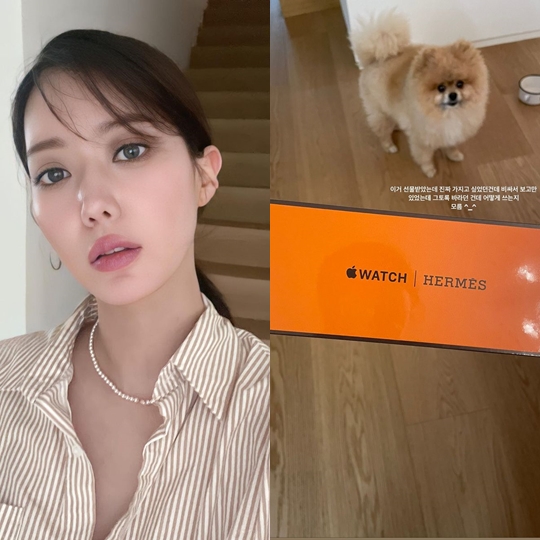 임수향 인스타그램