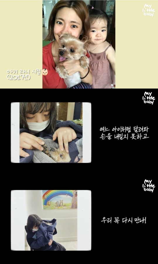 유튜브 캡처