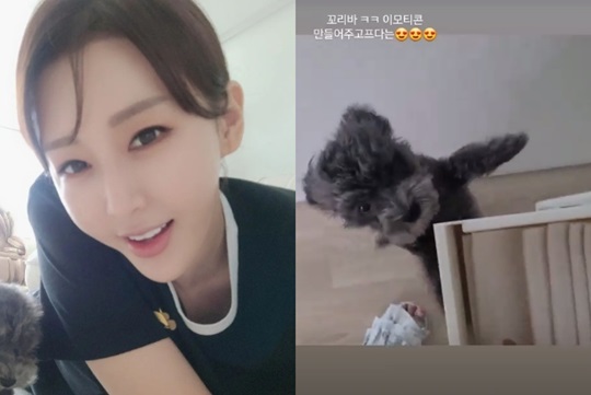한영 인스타 스토리