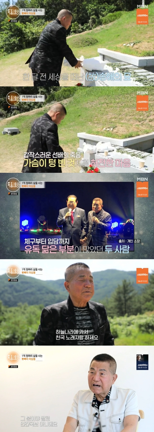 MBN '특종세상' 방송화면 캡쳐