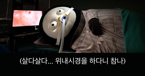사진=펭수 인스타그램