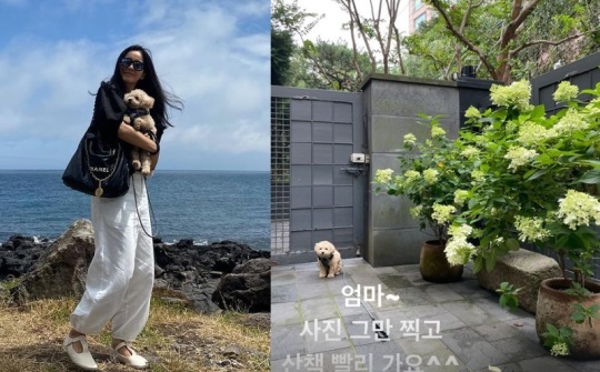 정혜영인스타그램