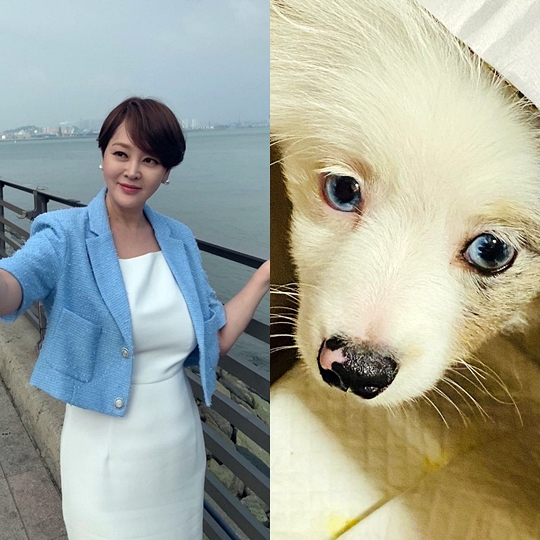 이승연 인스타그램