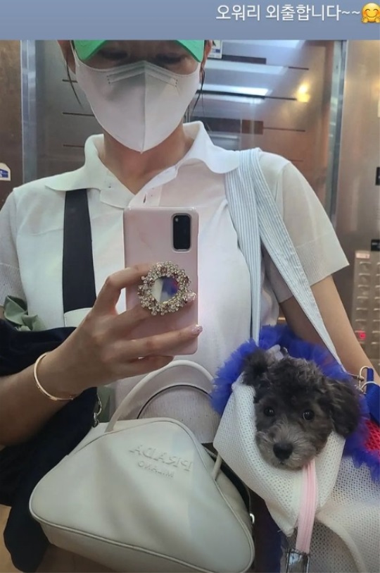 한영 인스타 스토리
