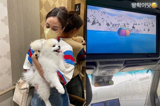 고소영 인스타그램