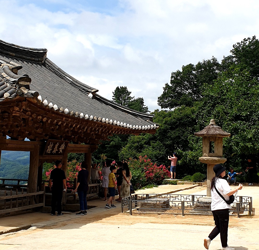 부석사 방문객들이 활짝핀 배롱나무꽃을 배경으로 사진을 찍고 있다.(사진=권화자 영주시문화관광해설사 제공)