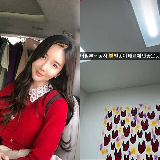 장미인애 인스타그램