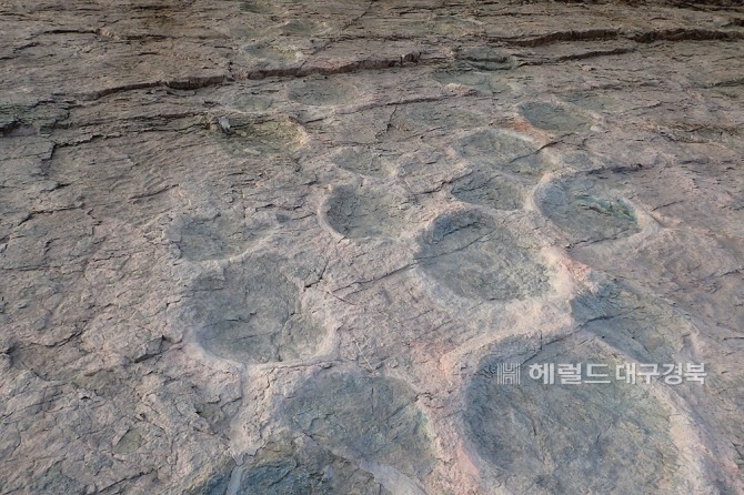 의성군 금성면 제오리의 공룡 발자국 화석,이 곳에는 초식공룡인 용각류와 조각류, 육식공룡인 수각류 등의 발자국 316개가 있다. 큰 발자국은 직경이 90㎝에 이른다