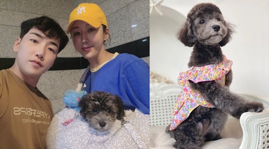 한영 인스타그램