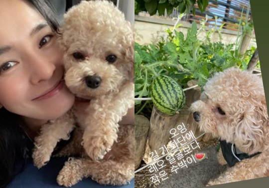 정혜영 인스타 스토리