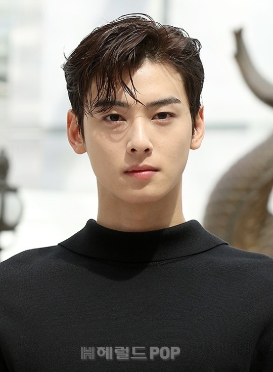 차은우/사진=민선유기자