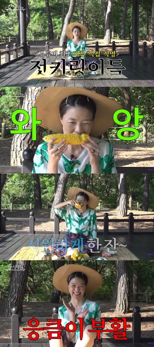 유튜브 캡처